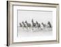 Freedom-Marco Carmassi-Framed Photographic Print