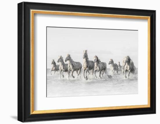 Freedom-Marco Carmassi-Framed Photographic Print