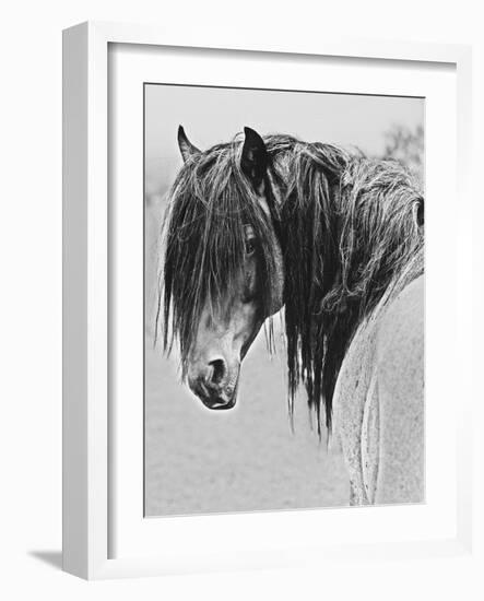 Freedom-Sally Linden-Framed Photographic Print