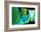 Freeforming-Alan Hausenflock-Framed Photographic Print