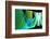 Freeforming-Alan Hausenflock-Framed Photographic Print