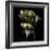 Freesia 5-Magda Indigo-Framed Photographic Print