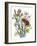 Freesia and Others-null-Framed Art Print