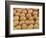 Freesia Flower Ovules-Micro Discovery-Framed Photographic Print