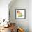 Freesia (Freesia Sp.)-Lawrence Lawry-Framed Premium Photographic Print displayed on a wall