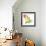 Freesia (Freesia Sp.)-Lawrence Lawry-Framed Premium Photographic Print displayed on a wall