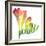 Freesia (Freesia Sp.)-Lawrence Lawry-Framed Premium Photographic Print