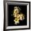 Freesia II-Magda Indigo-Framed Photographic Print