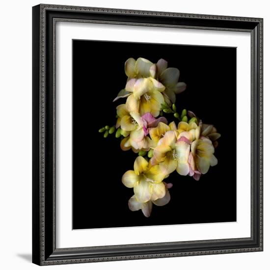 Freesia II-Magda Indigo-Framed Photographic Print