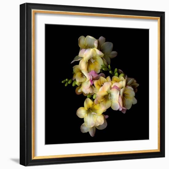 Freesia II-Magda Indigo-Framed Photographic Print