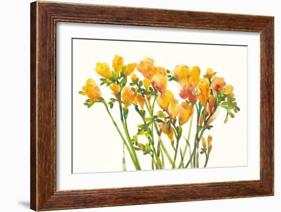 Freesia II-Tim O'toole-Framed Art Print