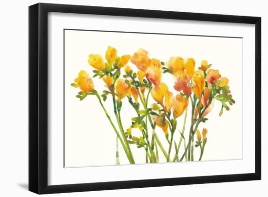 Freesia II-Tim O'toole-Framed Art Print