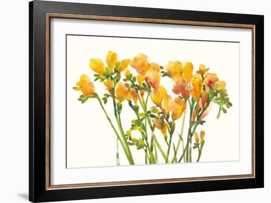 Freesia II-Tim O'toole-Framed Art Print