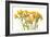 Freesia II-Tim O'toole-Framed Art Print