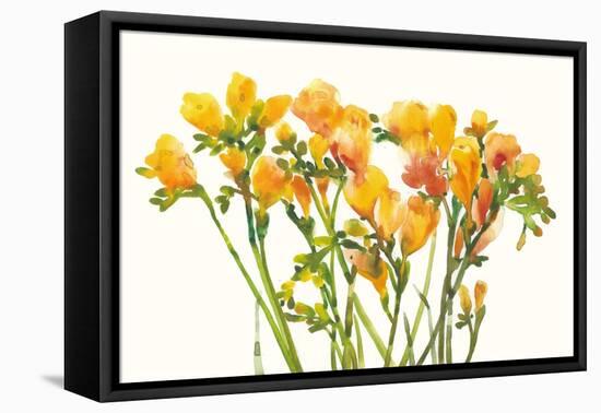 Freesia II-Tim O'toole-Framed Stretched Canvas