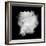 Freeze Motion Of White Dust Explosion Isolated On Black Background-Jag_cz-Framed Art Print