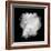 Freeze Motion Of White Dust Explosion Isolated On Black Background-Jag_cz-Framed Art Print