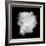 Freeze Motion Of White Dust Explosion Isolated On Black Background-Jag_cz-Framed Art Print