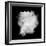 Freeze Motion Of White Dust Explosion Isolated On Black Background-Jag_cz-Framed Art Print