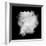 Freeze Motion Of White Dust Explosion Isolated On Black Background-Jag_cz-Framed Art Print