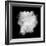 Freeze Motion Of White Dust Explosion Isolated On Black Background-Jag_cz-Framed Art Print