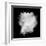 Freeze Motion Of White Dust Explosion Isolated On Black Background-Jag_cz-Framed Premium Giclee Print