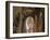 Freiburg Minster, Freiburg, Baden-Wurttemberg, Germany, Europe-Hans Peter Merten-Framed Photographic Print