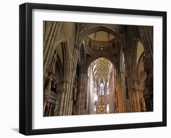 Freiburg Minster, Freiburg, Baden-Wurttemberg, Germany, Europe-Hans Peter Merten-Framed Photographic Print