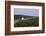 Freight Ships on Kiel Canal going near Hochdonn, Dithmarschen, Schleswig-Holstein, Germany, Europe-Hans-Peter Merten-Framed Photographic Print