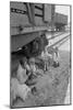 Freight Train Family-Dorothea Lange-Mounted Art Print