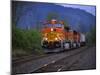 Freight Train Moving on Tracks, Stevenson, Columbia River Gorge, Washington, USA-Steve Terrill-Mounted Photographic Print