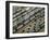 Freight Wagons on the Canadian Pacific Railway at Vancouver Harbour, Canada-Robert Francis-Framed Photographic Print