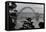 Fremont Bridge, Portland, Oregon, USA-Panoramic Images-Framed Premier Image Canvas