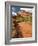 Fremont River, Capitol Reef National Park, Utah, Usa-Dave Welling-Framed Photographic Print