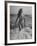 French Actress Barbara Laage Wearing Makeshift Two-Piece Bathing Suit Wading in Surf-Nina Leen-Framed Premium Photographic Print