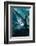 French Angelfish, Bonaire-Paul Souders-Framed Photographic Print