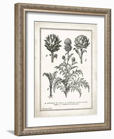 French Artichokes-Gwendolyn Babbitt-Framed Art Print