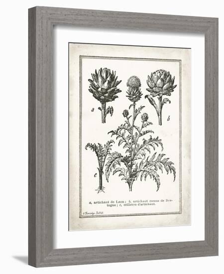 French Artichokes-Gwendolyn Babbitt-Framed Art Print