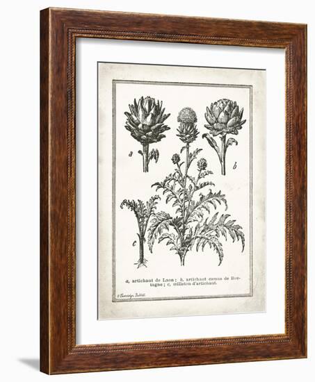 French Artichokes-Gwendolyn Babbitt-Framed Art Print