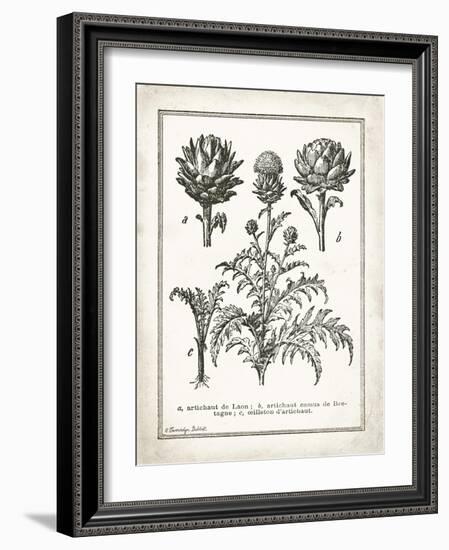 French Artichokes-Gwendolyn Babbitt-Framed Art Print