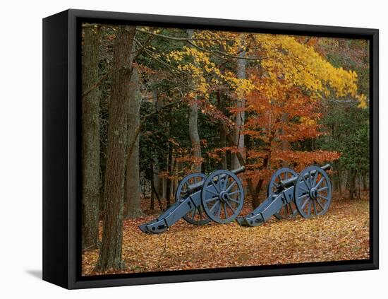 French Artillery, Colonial National Historic Park, Virginia, USA-Charles Gurche-Framed Premier Image Canvas