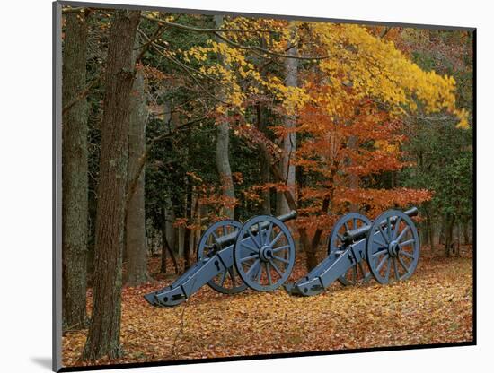 French Artillery, Colonial National Historic Park, Virginia, USA-Charles Gurche-Mounted Photographic Print