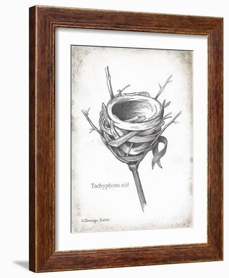 French Bird Nest I-Gwendolyn Babbitt-Framed Art Print