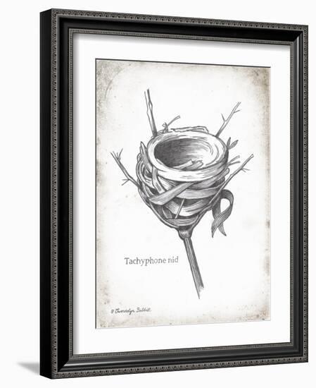 French Bird Nest I-Gwendolyn Babbitt-Framed Art Print