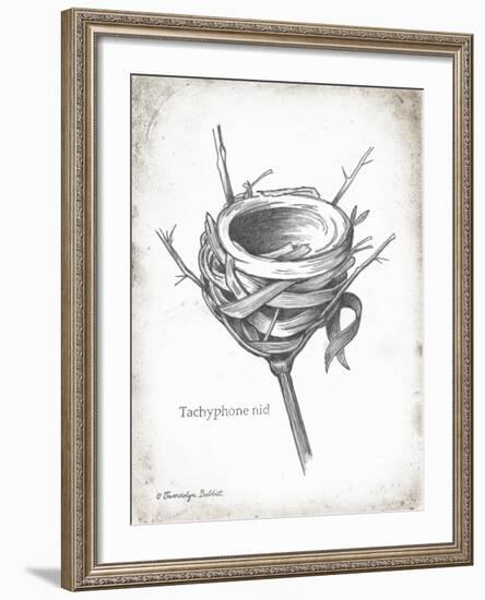 French Bird Nest I-Gwendolyn Babbitt-Framed Art Print