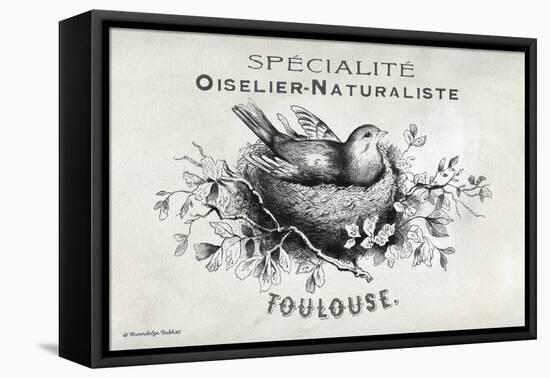 French Bird Nest I-Gwendolyn Babbitt-Framed Stretched Canvas