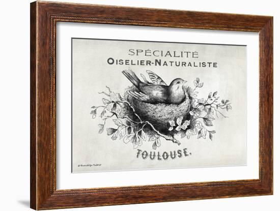 French Bird Nest I-Gwendolyn Babbitt-Framed Art Print