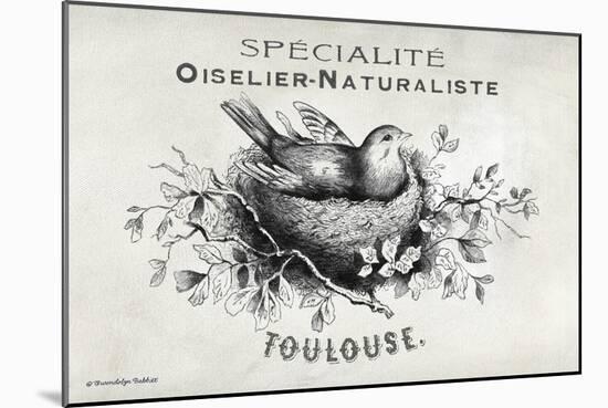 French Bird Nest I-Gwendolyn Babbitt-Mounted Art Print