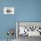 French Bird Nest I-Gwendolyn Babbitt-Premium Giclee Print displayed on a wall