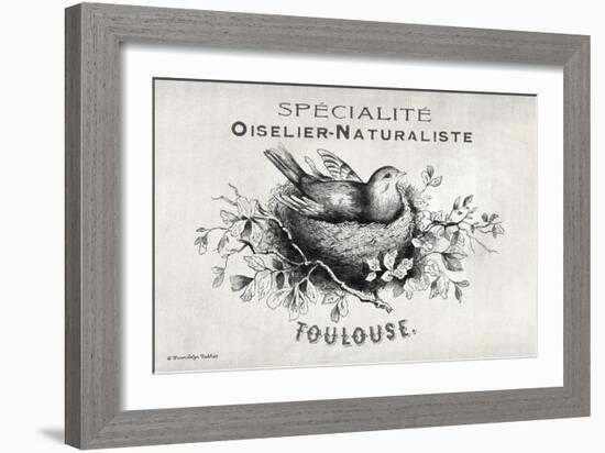 French Bird Nest I-Gwendolyn Babbitt-Framed Premium Giclee Print